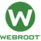 Webroot Business Cybersecurity Solutions