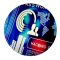 COMPUTER FORENSICS ANALYSIS
